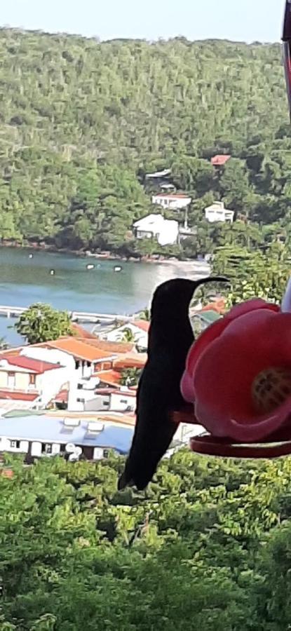 Appartement Colibri , Les Anses D 'Arlet Exterior foto